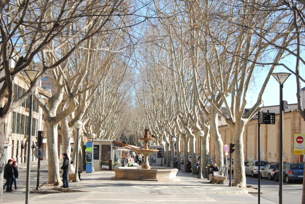 Cream homes La Rambla, TURISMO DE INTERIOR Palma de Mallorca Exterior foto